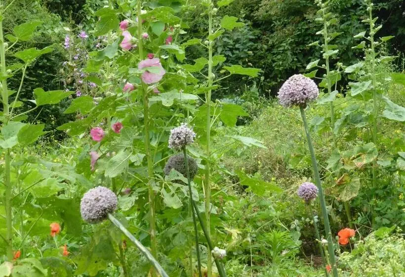 ベッドアンドブレックファースト B And B Sycomore, La Bouriotte