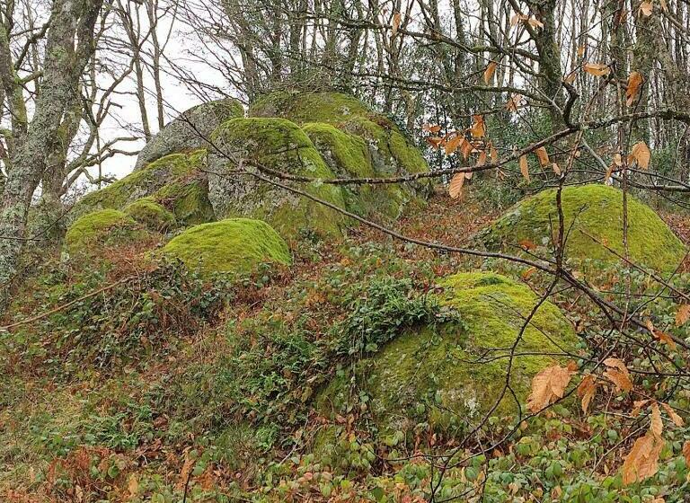 Bed and Breakfast B And B Sycomore, La Bouriotte