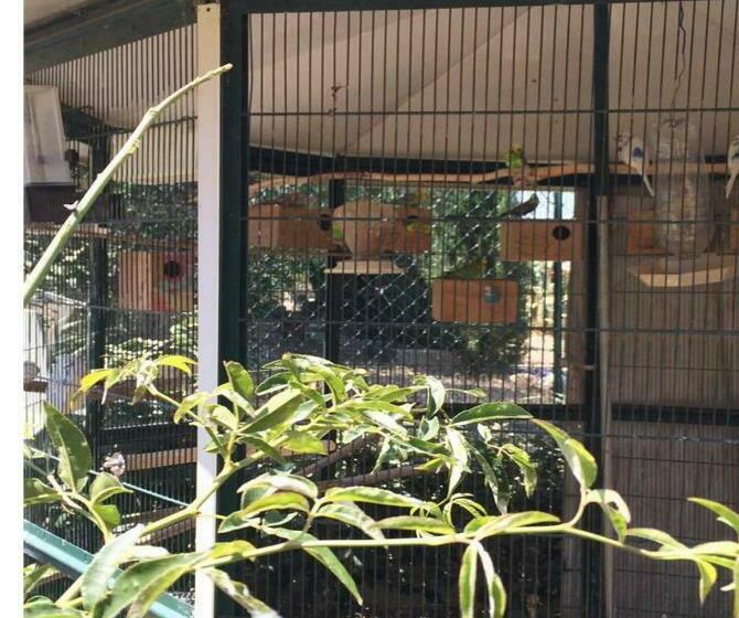 住宿加早餐 Entre Mer Et Montagne