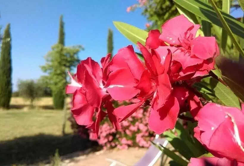 Aamiaismajoitus (B&B) Ferme Para Lou