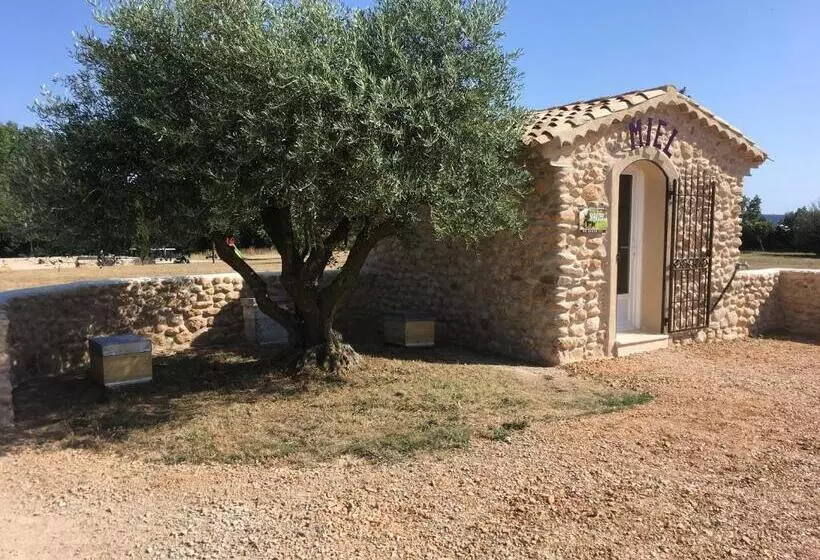 Aamiaismajoitus (B&B) Ferme Para Lou