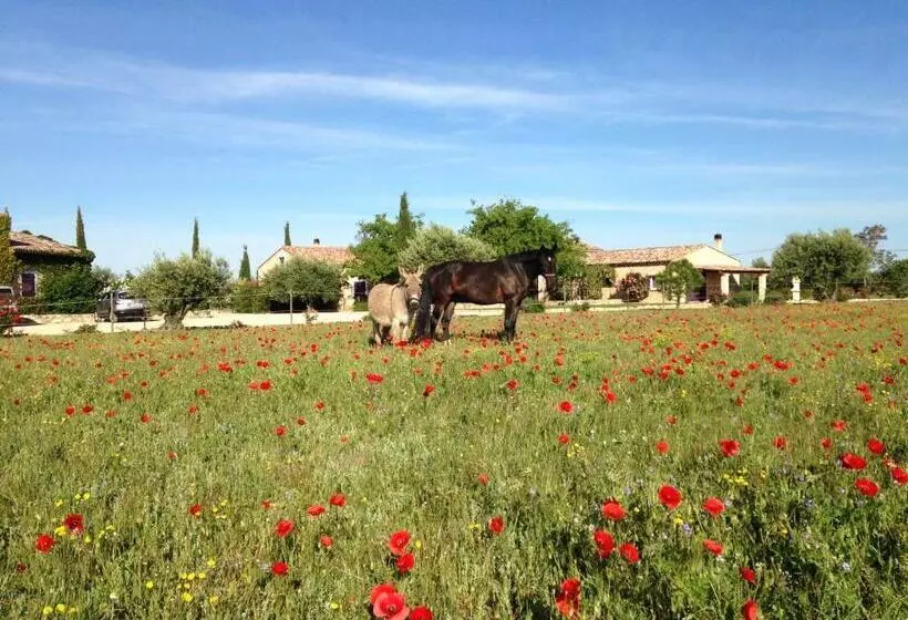 Aamiaismajoitus (B&B) Ferme Para Lou