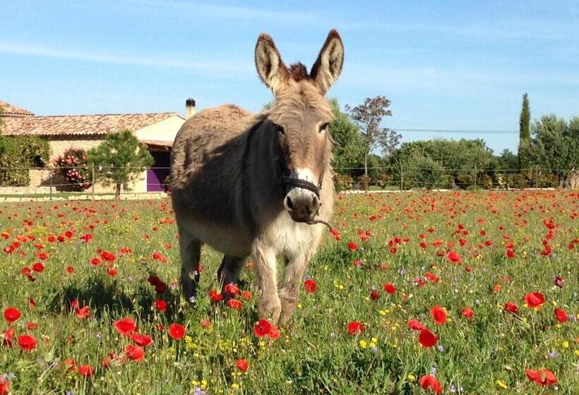 Bed and Breakfast Ferme Para Lou