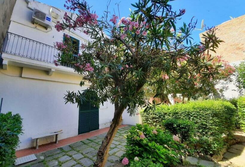 Il Giardino Nascosto B&b