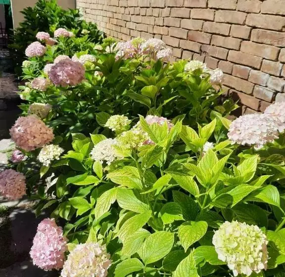 Il Giardino Nascosto B&b