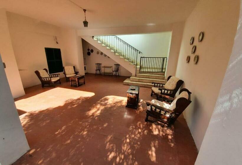 Il Giardino Nascosto B&b