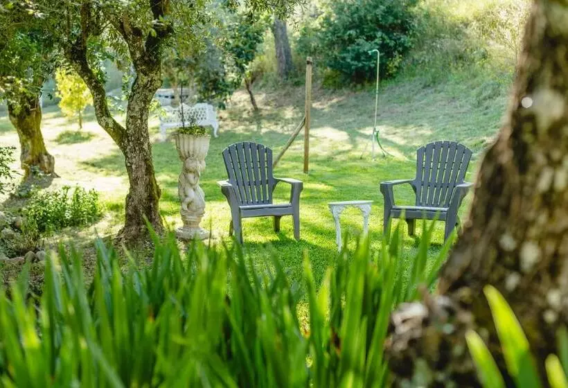 Aamiaismajoitus (B&B) Magnolias Cottage