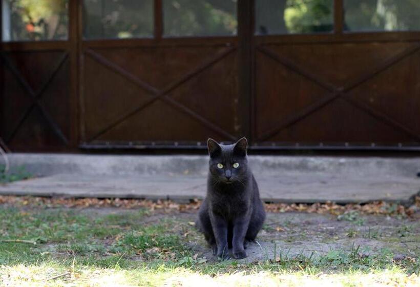 تختخواب و صبحانه Maison Piloni