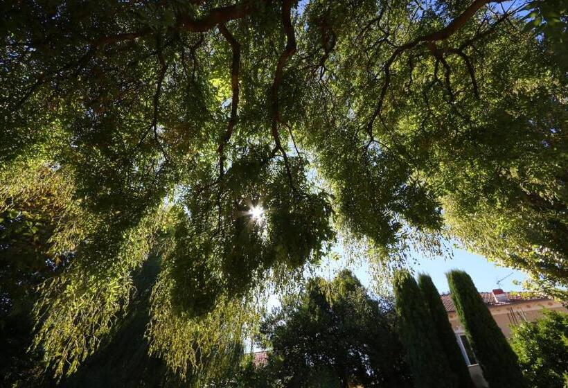 تختخواب و صبحانه Maison Piloni