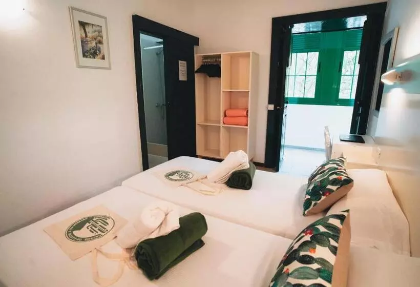 ペンション Cactus Hostel