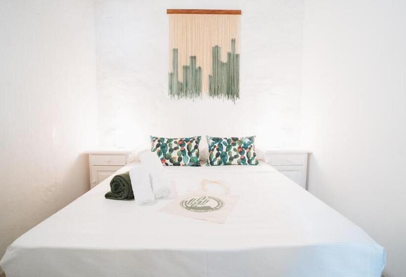 پانسیون Cactus Hostel