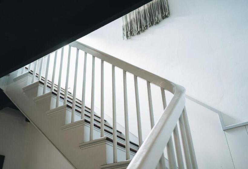 پانسیون Cactus Hostel