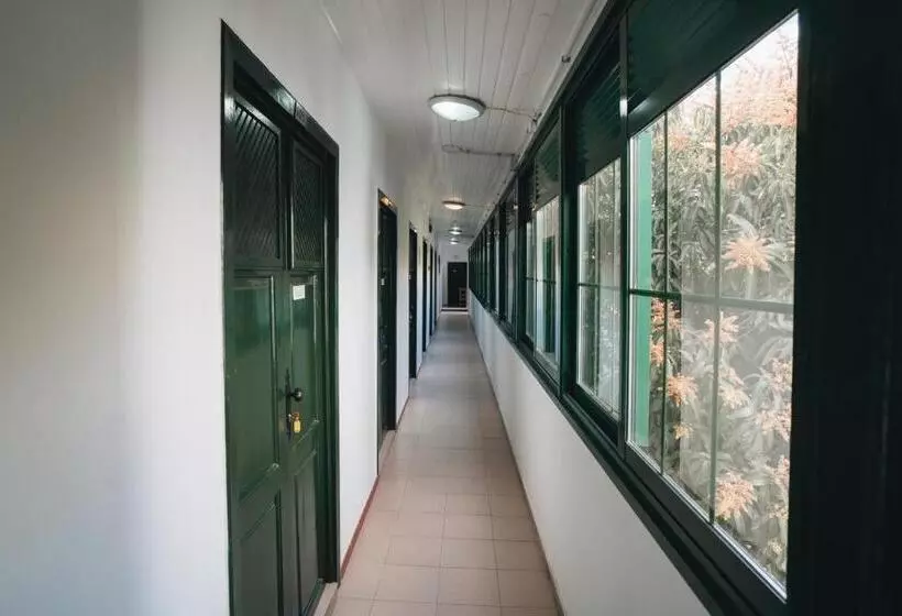 ペンション Cactus Hostel