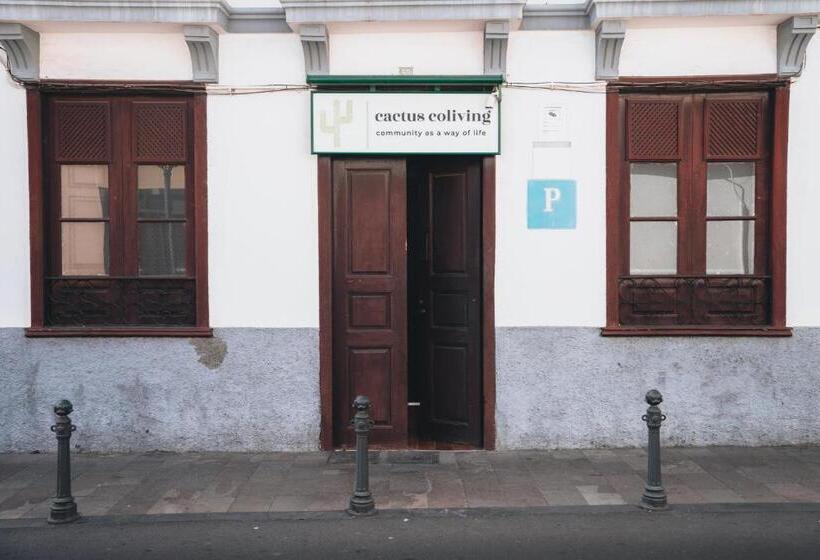 پانسیون Cactus Hostel