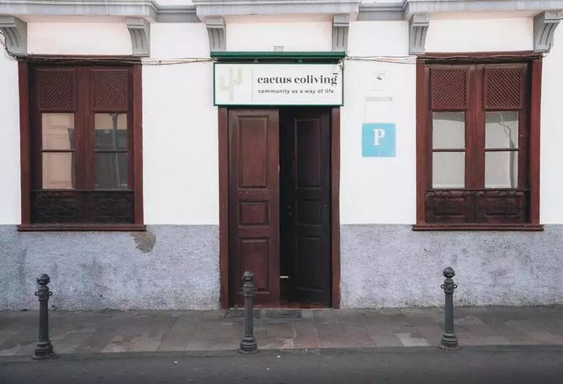 ペンション Cactus Hostel