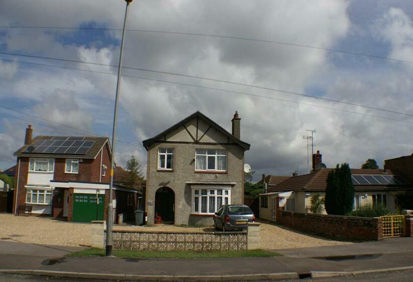 פנסיון Y Not Guest House