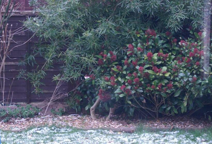 פנסיון Y Not Guest House