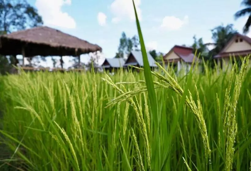 Lomakeskus Baan Thung Home Stay