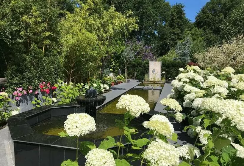 Aamiaismajoitus (B&B) Dishoek