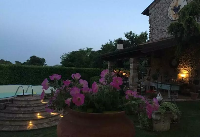 تختخواب و صبحانه Gallo Delle Pille