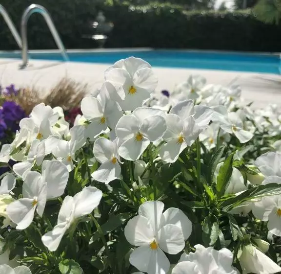 Aamiaismajoitus (B&B) Garni Sonnblick