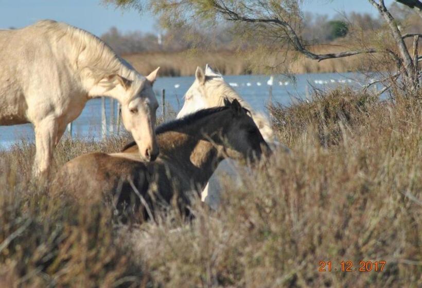 민박 Maison L Etrier