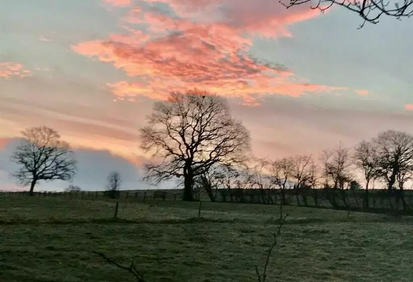 ベッドアンドブレックファースト Un Matin Au Jardin