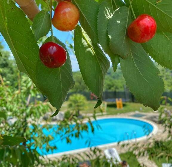 צימר Villa Aresini