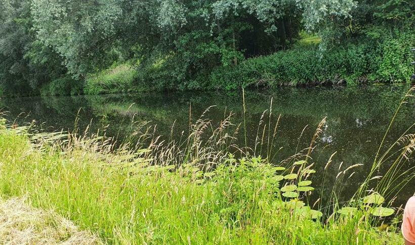 Guesthouse De Bongerd Overberg, B&b Holland, The Orchard