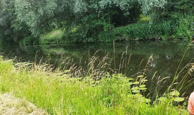 Guesthouse De Bongerd Overberg, B&b Holland, The Orchard