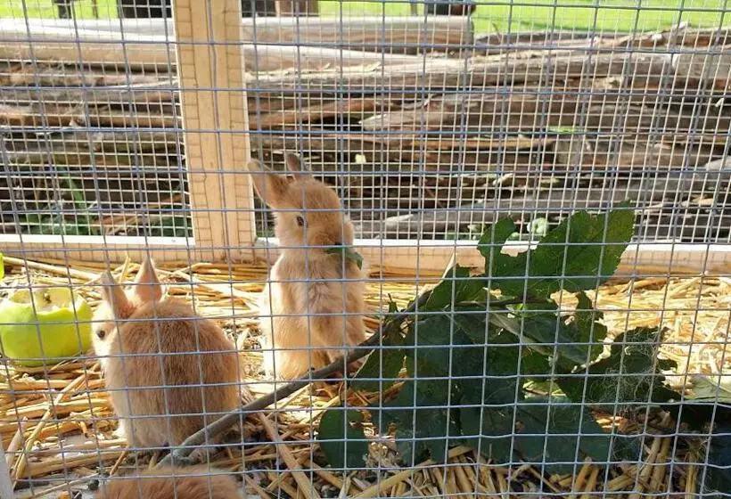 Guesthouse De Bongerd Overberg, B&b Holland, The Orchard