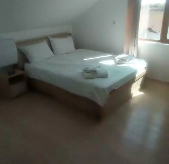 ペンション Vila Corsarul