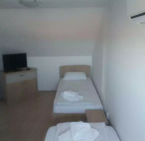 ペンション Vila Corsarul