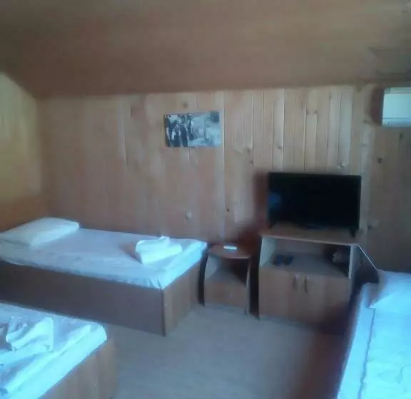 ペンション Vila Corsarul