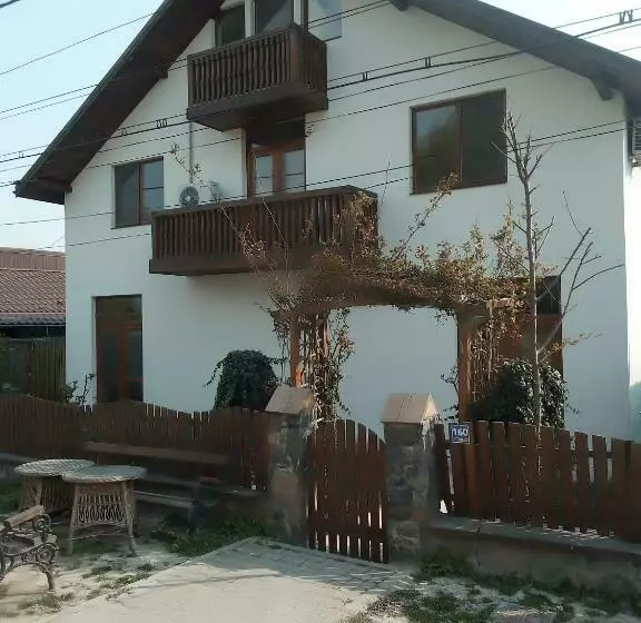 ペンション Vila Corsarul