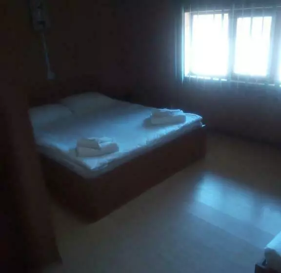 ペンション Vila Corsarul