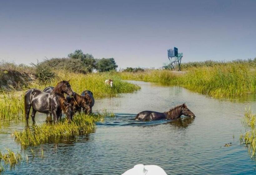 Пансион Vila Corsarul