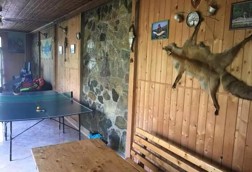 ペンション Vila Corsarul