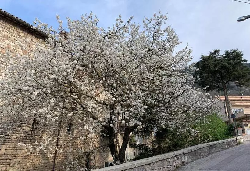 پانسیون Residenza Via Dante