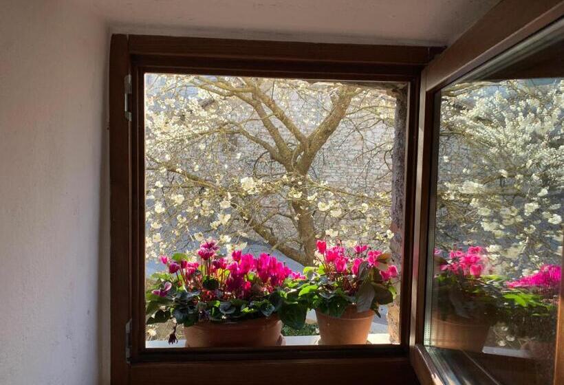 Pensjonat Residenza Via Dante