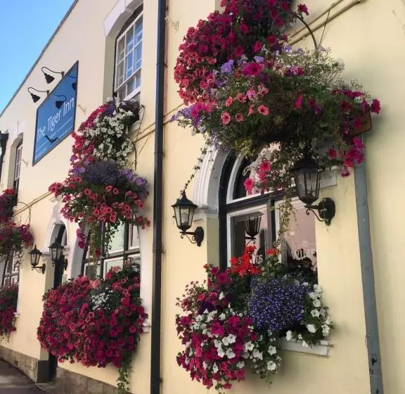 ユースホステル Tiger Inn