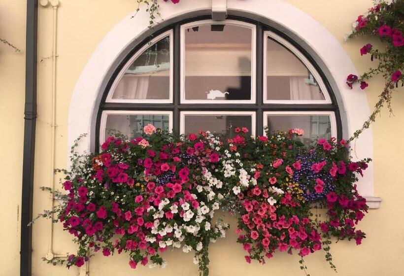 هاستل Tiger Inn