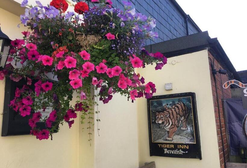 هاستل Tiger Inn