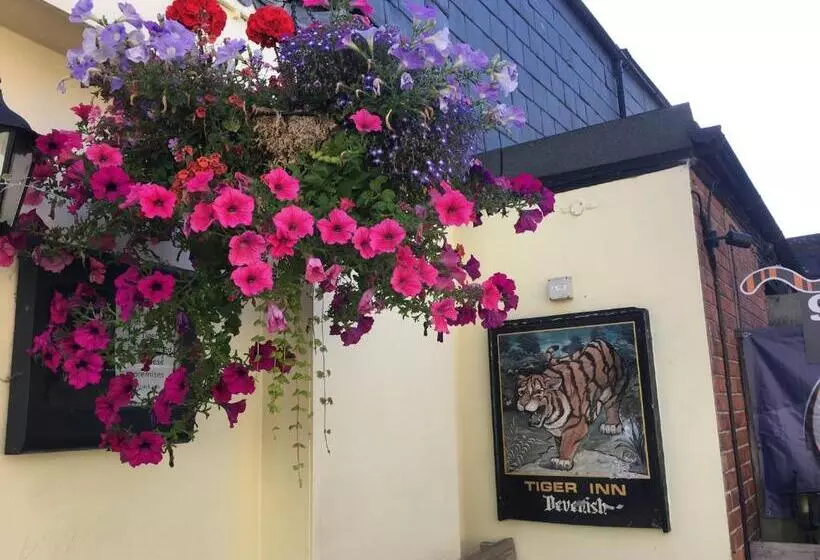 ユースホステル Tiger Inn