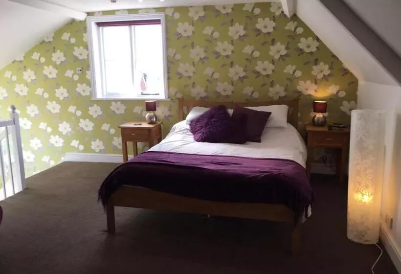 ユースホステル Tiger Inn