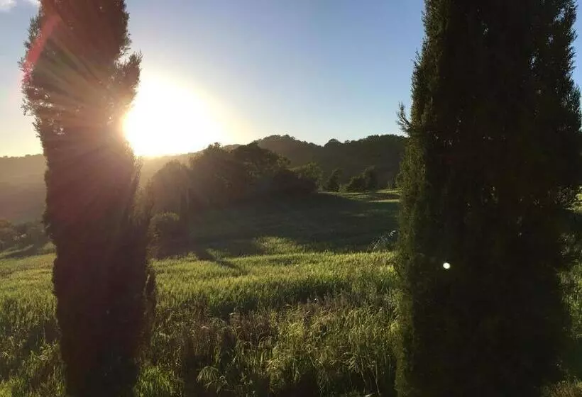 B&b Il Casone Di Drusa