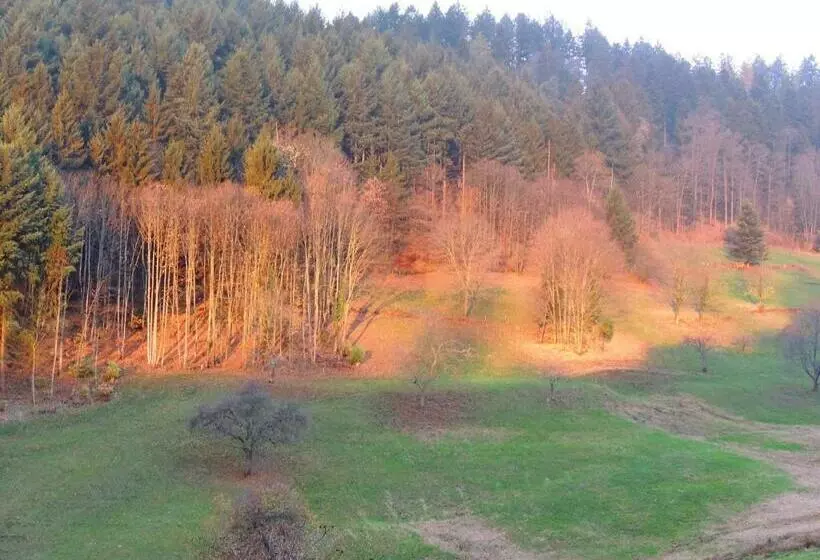 Aamiaismajoitus (B&B) Au Bout Du Chemin