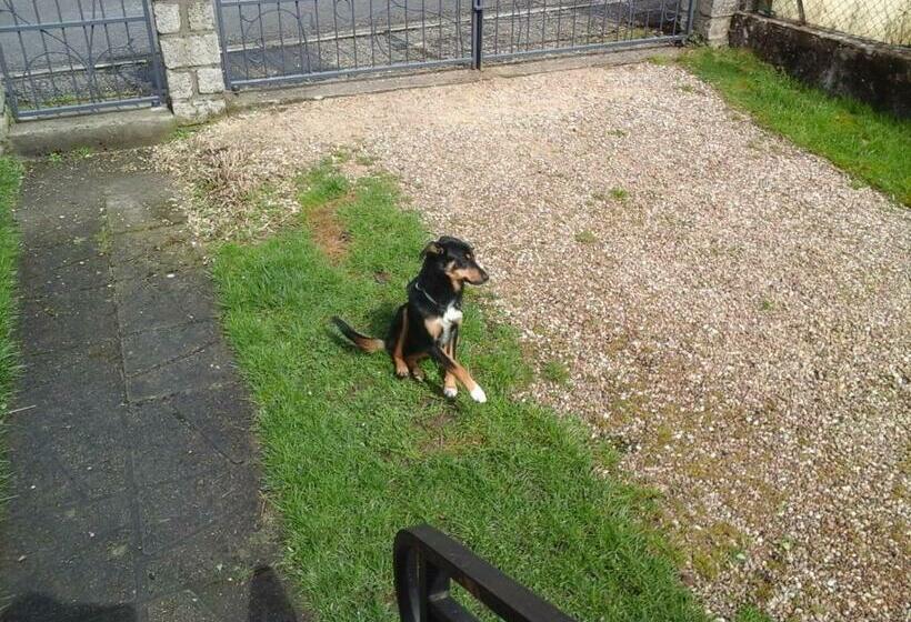 ベッドアンドブレックファースト Chez Evelyne Chambre D Hôtes Chez L Habitant