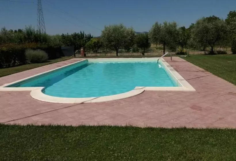 تختخواب و صبحانه Ilporticodispello