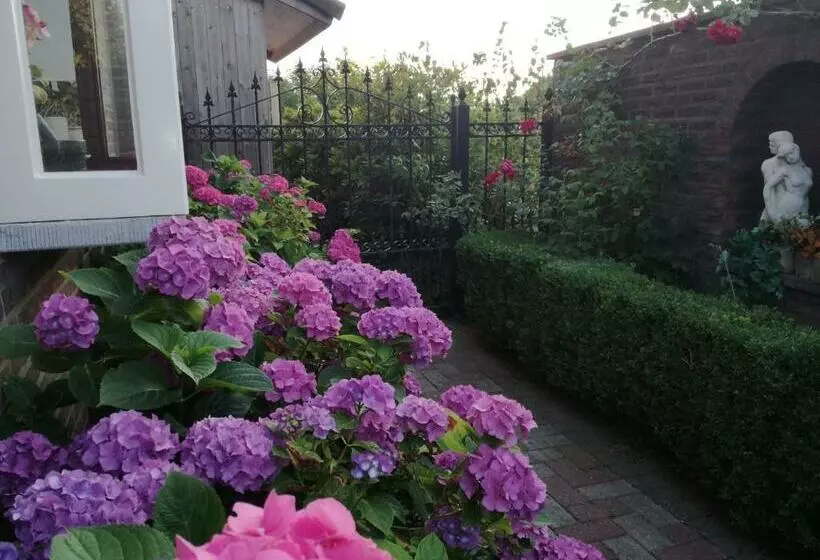 Aamiaismajoitus (B&B) La Rose